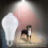 Infrared Motion Sensor LED Bulb 12W E27 5