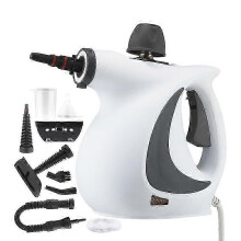 Dampfreiniger mit Zubehör, Schnellheizender Multi-Oberflächen-Dampfreiniger für Böden, Fliesen, Fugen, Polster und Fahrzeugaufbereitung (1 Set)