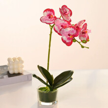 Mesterséges orchidea bonsai üvegvázában