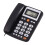 Senior-friendly telephone LCD display large buttons dual 1