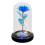 Rosa galaxia en cúpula de cristal con luz LED 1