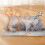 Tapis chauffant auto-chauffant pour chat, réversible et lavable 1