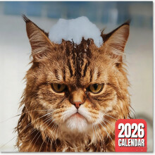 Calendario da parete "P'd Off Cats" 2026 - 11x17 pollici