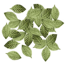 Duilleoga Síoda Saorga Glasa 100pcs