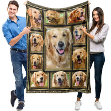 Blaincéad Caithimh Golden Retriever 50x60 orlach