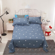 Ensemble de draps Queen en polyester rafraîchissant avec 2 taies d'oreiller