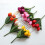Artificial Silk Tulips Real Touch13inches 4