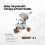 Toddler Tricycle with Parent Push Handle 3
