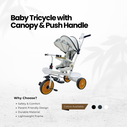 Toddler Tricycle with Parent Push Handle 2