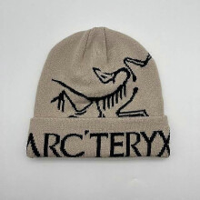(khaki) Arc'teryx Bird Word Toque Gray Void Wool Beanie Unisex Warm Winter Light gray