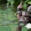 5-Pack Artificial Lotus Leaves for Pond Decoration 4