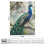 Φανελένια Κουβέρτα Peacock Throw 130x150εκ. 4