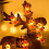 50 LED-Lichterkette mit Batteriebetrieb und Timer 1