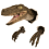 Γλυπτό Κεφαλής Δεινοσαύρου από Ρητίνη Velociraptor για Επιτοίχια Τοποθέτηση 1