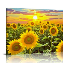 Prionta Ealaíne Balla Canbháis Daisy 20x16 orlach