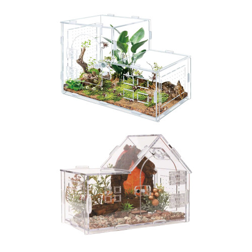 Terrarium respirable de conception transparente de cage-B 1