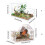 Terrarium respirable de conception transparente de cage-B 4