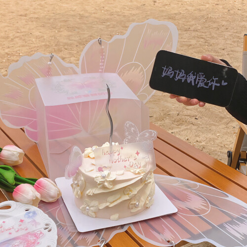 5 Stück Kuchen-Aufbewahrungsboxen mit rosa-A 2