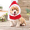 Gestrickte Hunde-Weihnachtsmütze Rot M 5
