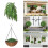 NoMaintenance Required Artificial Plant Plant Great For-set 3