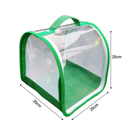 Support d'insecte visible portable, idéal pour les études et les 2