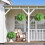 NoMaintenance Required Artificial Plant Plant Great For-set 6