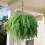 NoMaintenance Required Artificial Plant Plant Great For-set 7