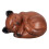 Resin Tierurne Hellbraun Schlafende Katzenfigur Aschebehälter 1