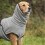 Pull pour chien gris grande taille très grande chaude et douce à capuche 1