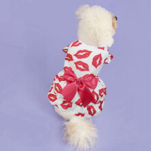 Valentinstag-Hundekleid mit Schleife und Rose – Klein/Mittel