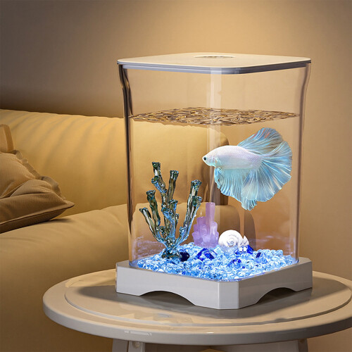 Mini-desktopaquariumset – PVC-kubustank met LED-verlichting