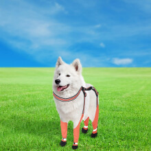 Botas antideslizantes para perros – Protectores de patas suaves y transpirables