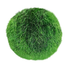 8 kpl keinotekoisia sammalpalloja akvaarioihin, 2,5–3,8 cm