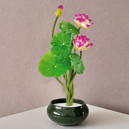 Bláth Lotus Saorga Corcra 1pc
