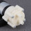Pompe de circulation pour aquarium miniature pour petits espaces (1 unité) 1