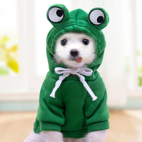 Sweat à capuche grenouille pour chiens - Pull chaud en coton et polyester, taille S
