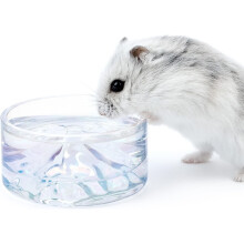 Tigela de vidro para água de hamster, formato Fuji, 50ml