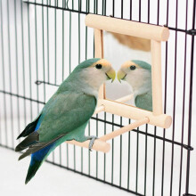 Holz-Vogel-Spiegelspielzeug mit Glocke für Papageien