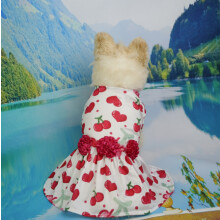 Hondenrokje met rozenprint en 3D-bloemen – Polyester