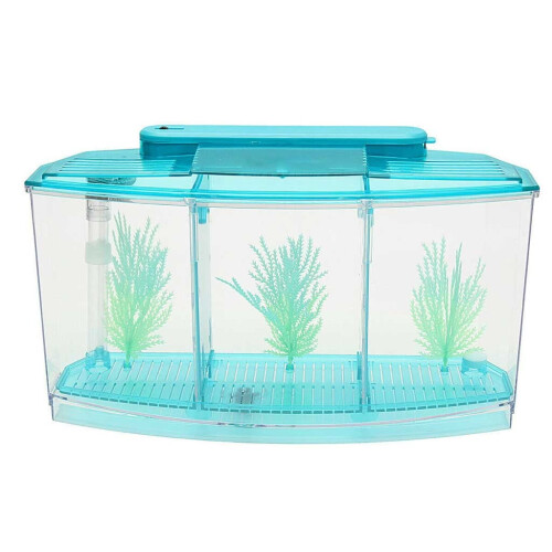 Umar Éisc Mini Aicrileach le Solas LED agus Scagaire, 28x10x15cm