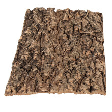 Fondo de corteza de cafeto natural con reptiles, 30x20 cm.
