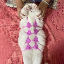 Handgemaakte kattenbikini van katoen-linnen – felroze, maat 5.5x