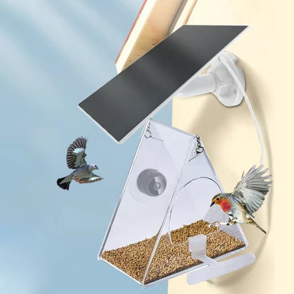 Solar-Powered Smart Bird Feeder With 1080P Night Camera 913466560684