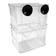 Boîte d'élevage transparente pour alevins, avec ventouses