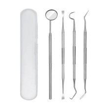 Conjunto de ferramentas de higiene oral em aço inoxidável
