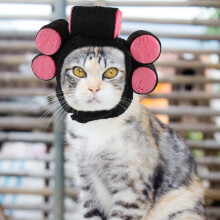 Minkissy Dog Cosplay-hatt for kjæledyr, ett stykke