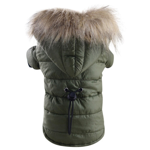 Sudadera con capucha acolchada de algodón para chaqueta de invierno para perros
