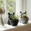 Plastic Kitten Shape Planter Holder Storage Bucket-Gray 5
