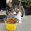 Jacenvly Dog Bed and Ceramic Slow Feeder Bowl for Small 6