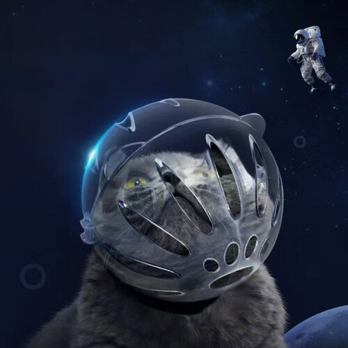 Cat Space Hood Adjustable Transparent Breathable Muzzle for 1